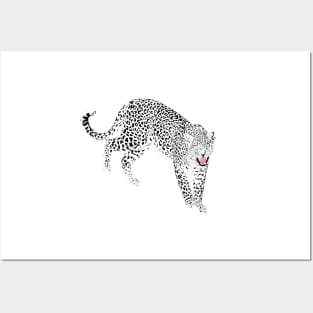 Stylish Black & Pink Leopard Animal White Design Posters and Art